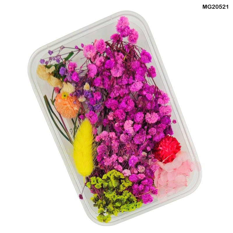 Dry Flower Box (MG20521)