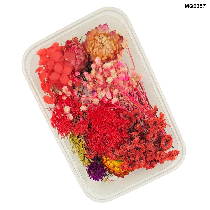 Dry Flower Box (MG2057)