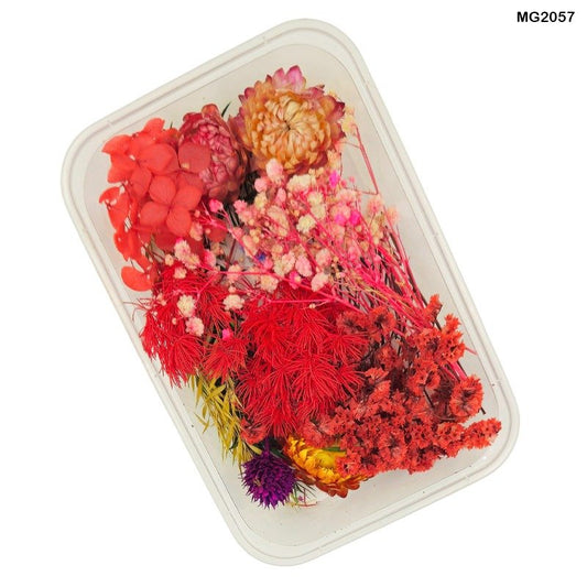 Dry Flower Box (MG2057)