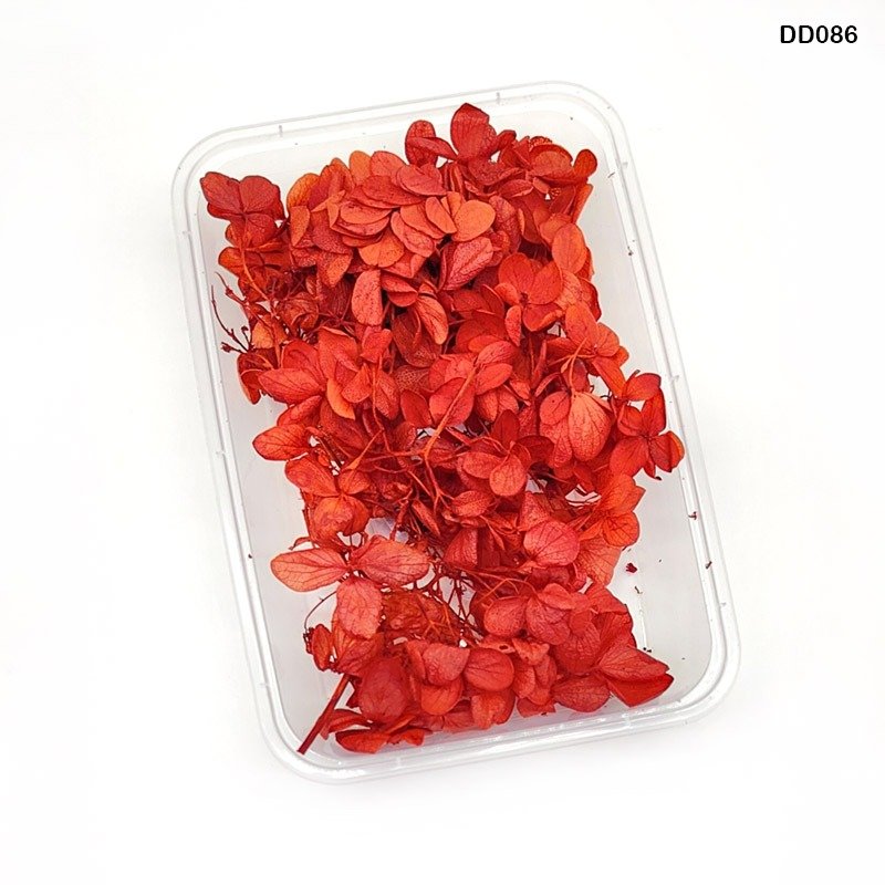 Dry Flower Box (DD086)