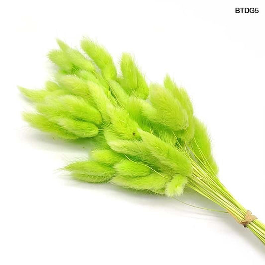 Bunny Tail - (BTDG5)