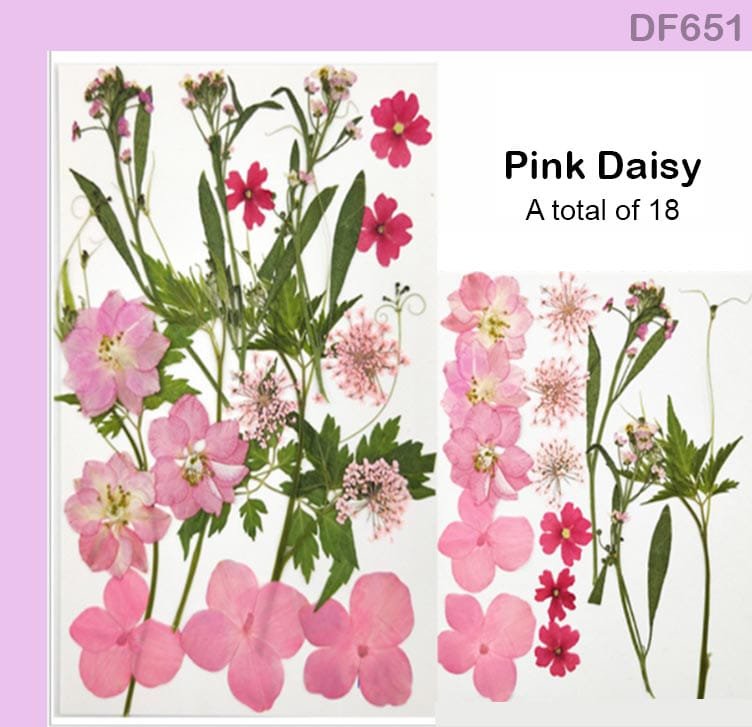 Dry Flower Sheet (DF651)