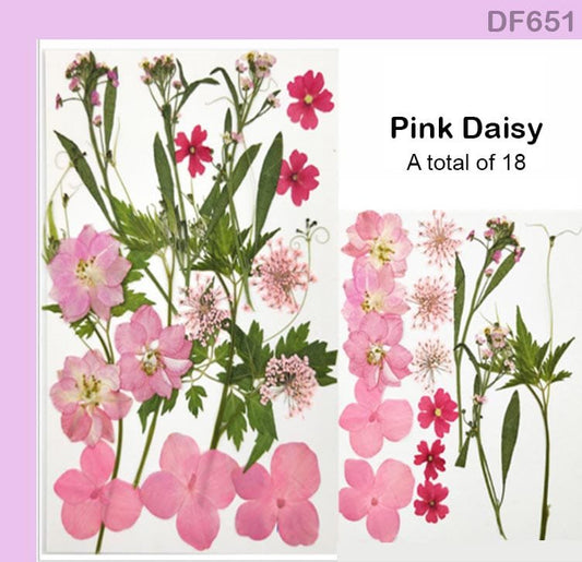 Dry Flower Sheet (DF651)