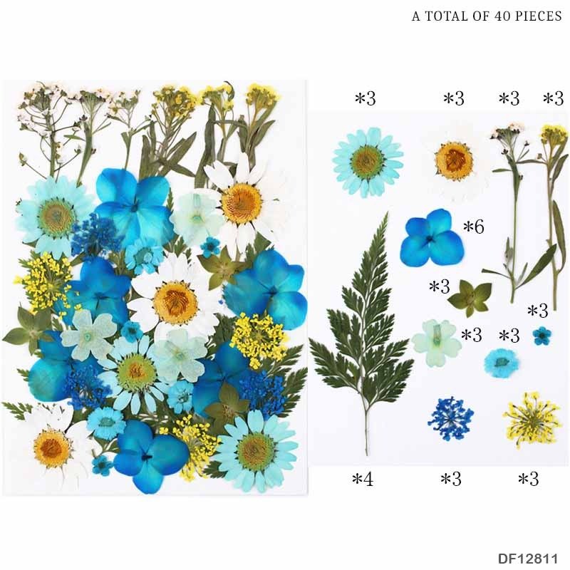 Dry Flower Sheet - DF12811