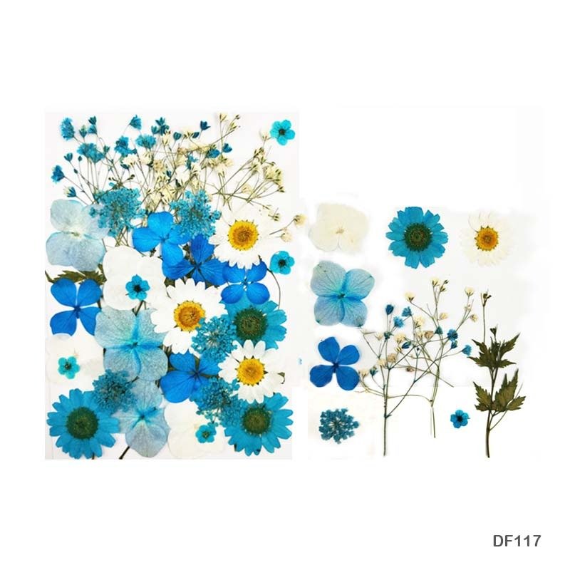 Dry Flower Sheet DF117