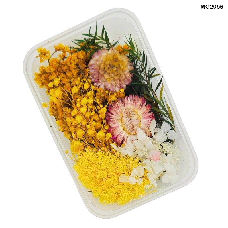 Dry Flower Box (MG2056)