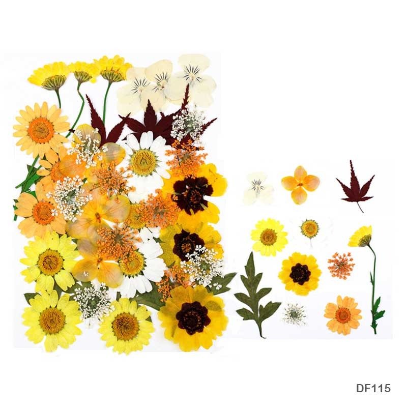 Dry Flower Sheet DF115