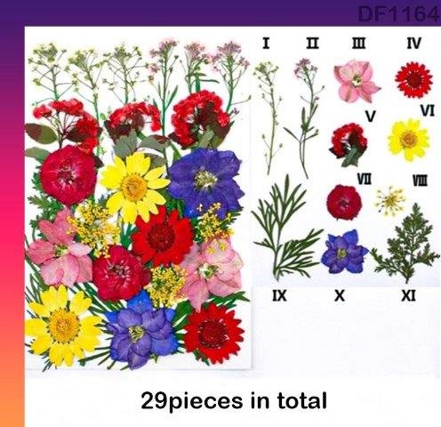 Dry Flower Sheet - DF1164