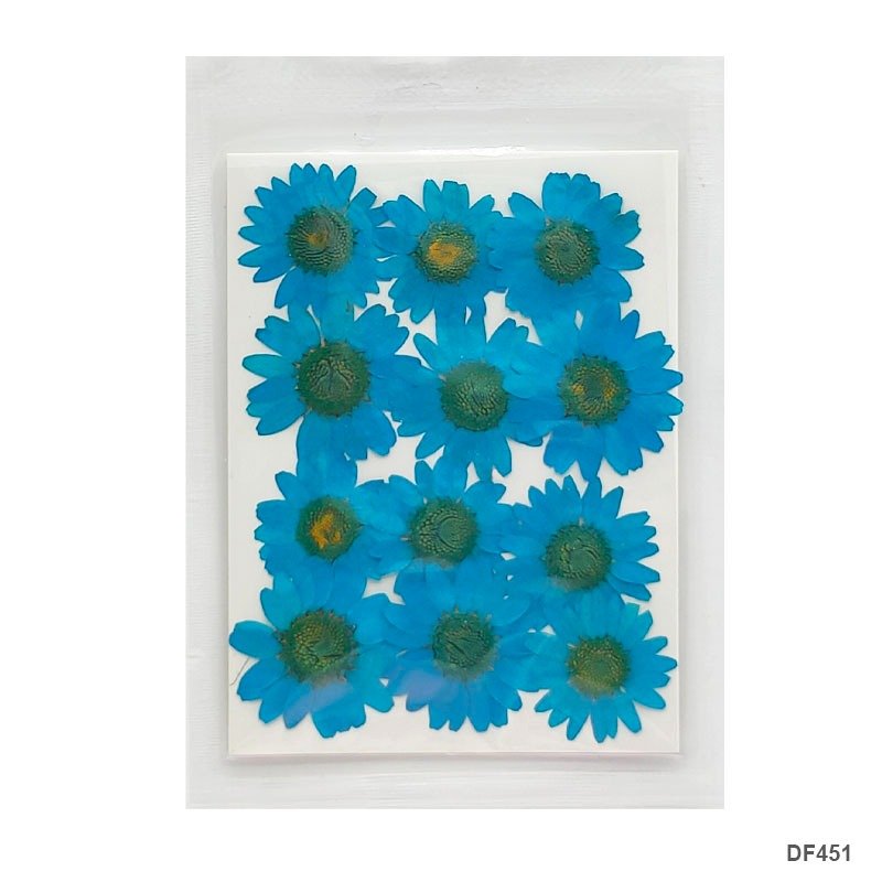 Dried Flower/Pressed Flower - DF451