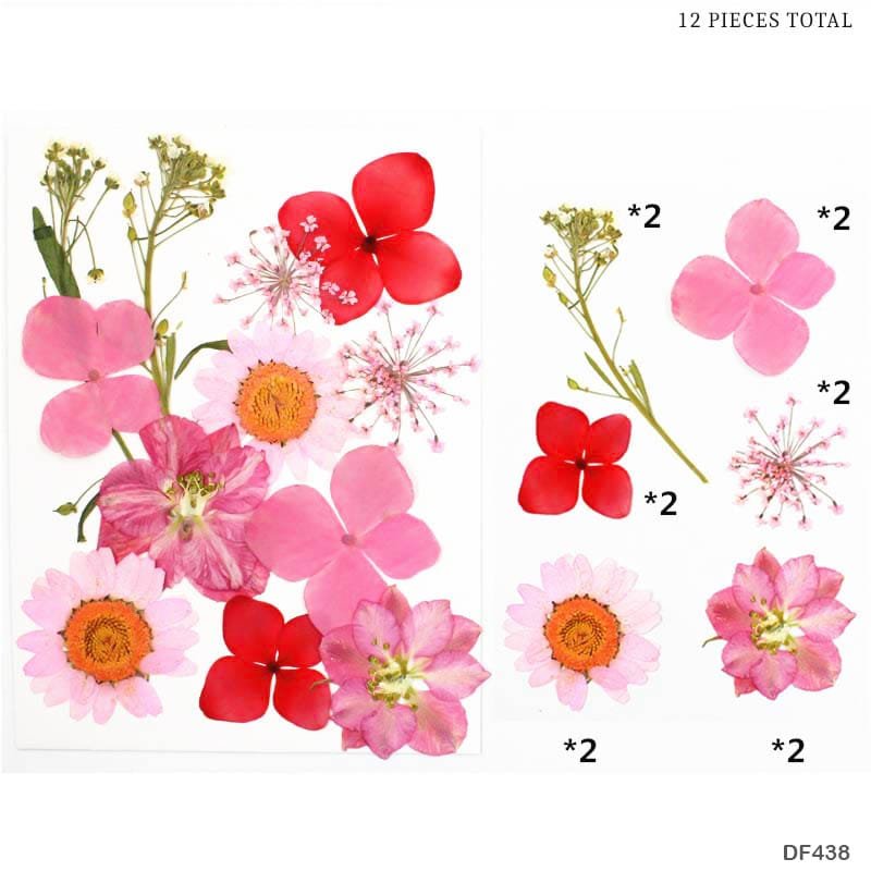 Dried Flower Sheet – (DF438)