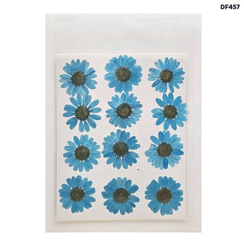 Dried Flower/Pressed Flower - DF457