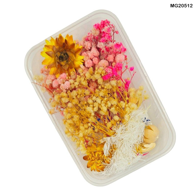 Dry Flower Box (MG20512)