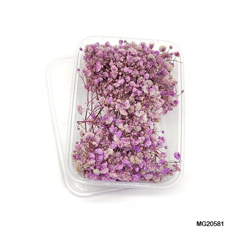 Dry Flower Box (MG20581)