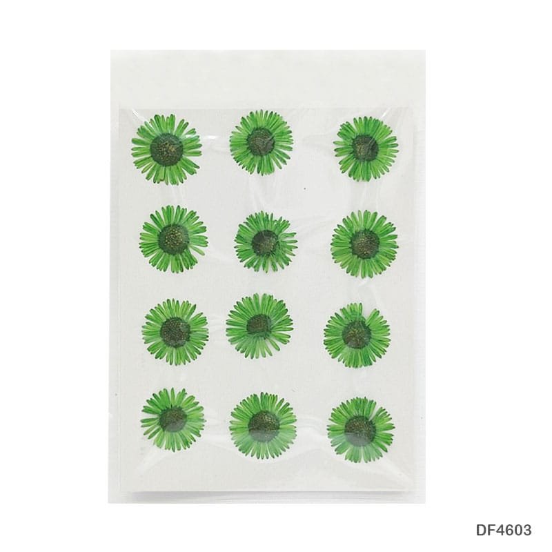 Dry Flower Sheet DF463