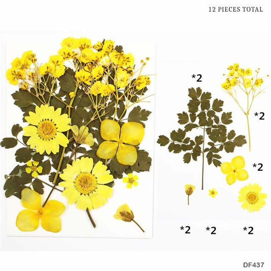 Dry Flower Sheet - DF437
