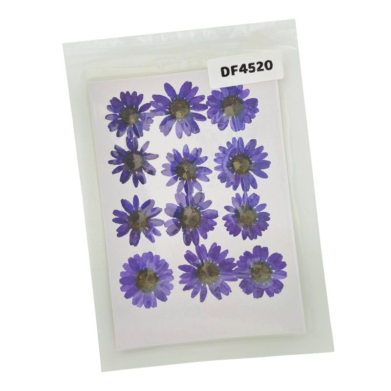 Dried Flower/Pressed Flower - DF4520
