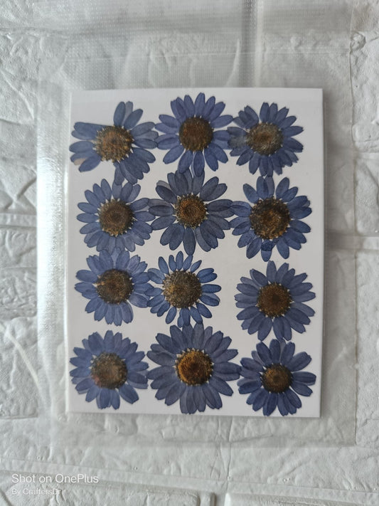 Dried Flower / Pressed Flower - RAWDFG