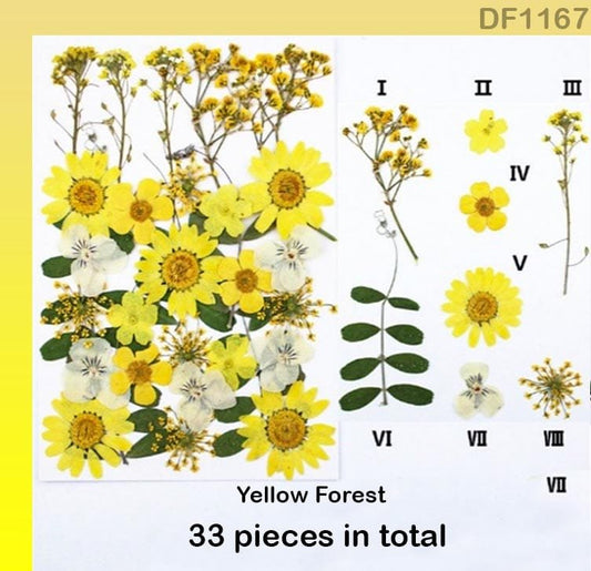 Dried Flower Sheet (DF1167)