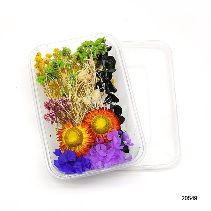 Dry Flower Box (MG20549)