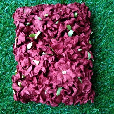 Mulberry Flower