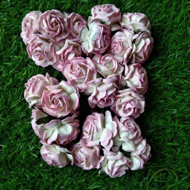 Mulberry Flower
