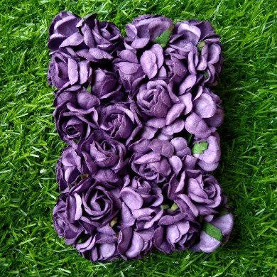 Mulberry Flower