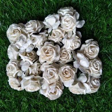 Mulberry Flower