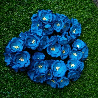Mulberry Flower