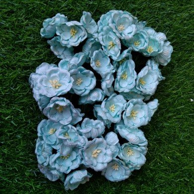 Mulberry Flower