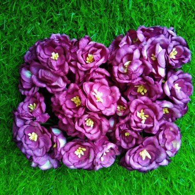 Mulberry Flower