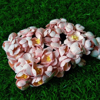 Mulberry Flower