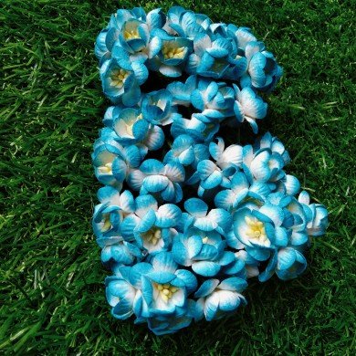 Mulberry Flower