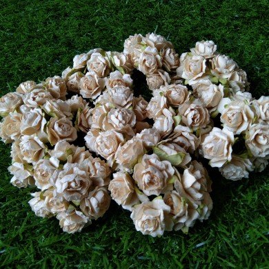 Mulberry Flower