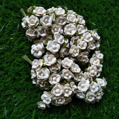 Mulberry Flower