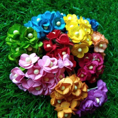 Mulberry Flower