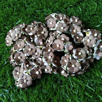 Mulberry Flower