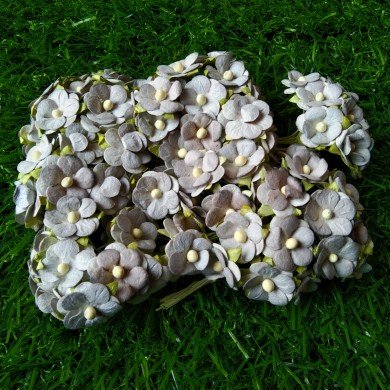 Mulberry Flower