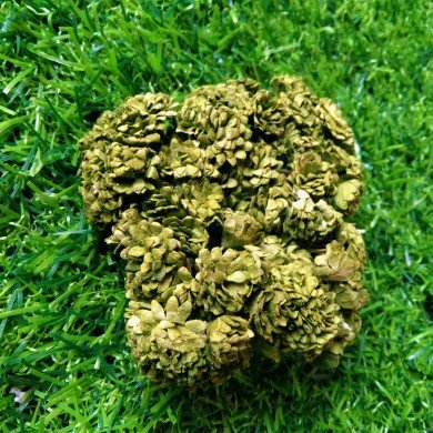 Mulberry Flower