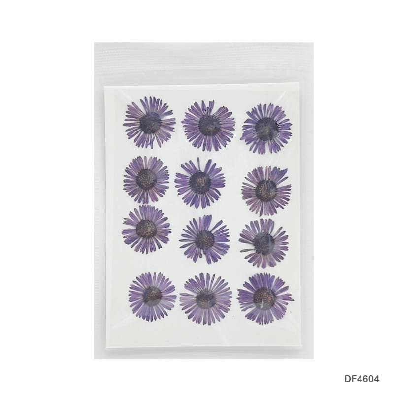Dry Flower Sheet DF464