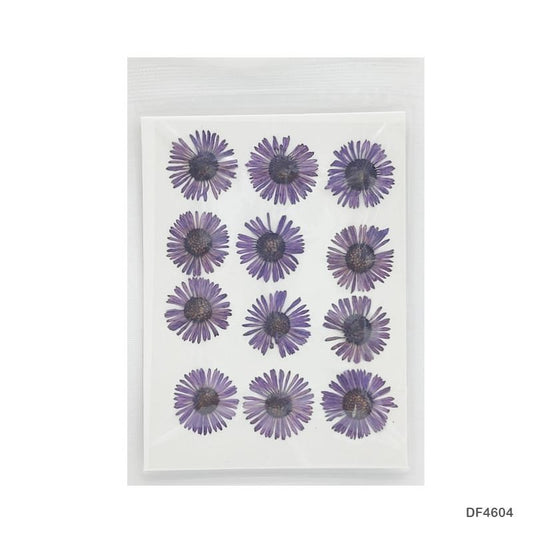 Dry Flower Sheet DF464