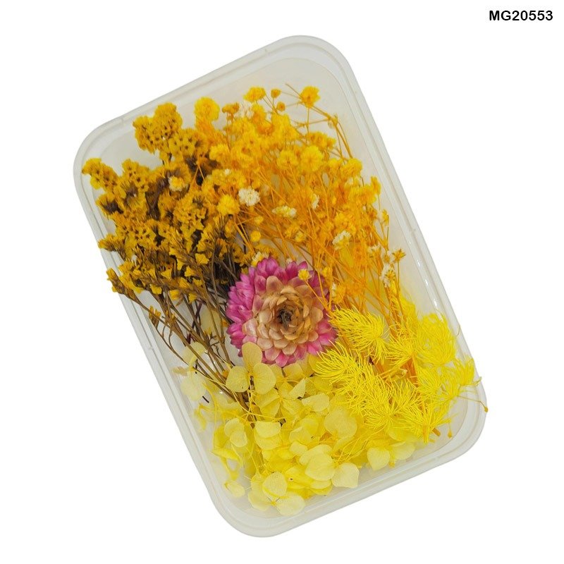 Dry Flower Box (MG20553)