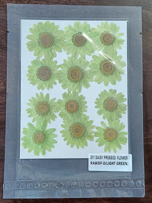 Dried Flower / Pressed Flower - RAWDF-R