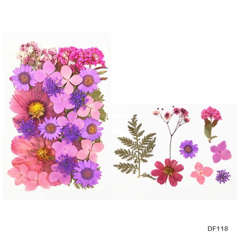 Dry Flower Sheet DF118