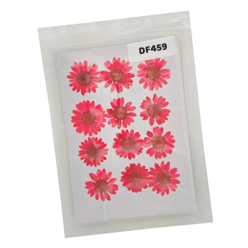 Dried Flower/Pressed Flower - DF459