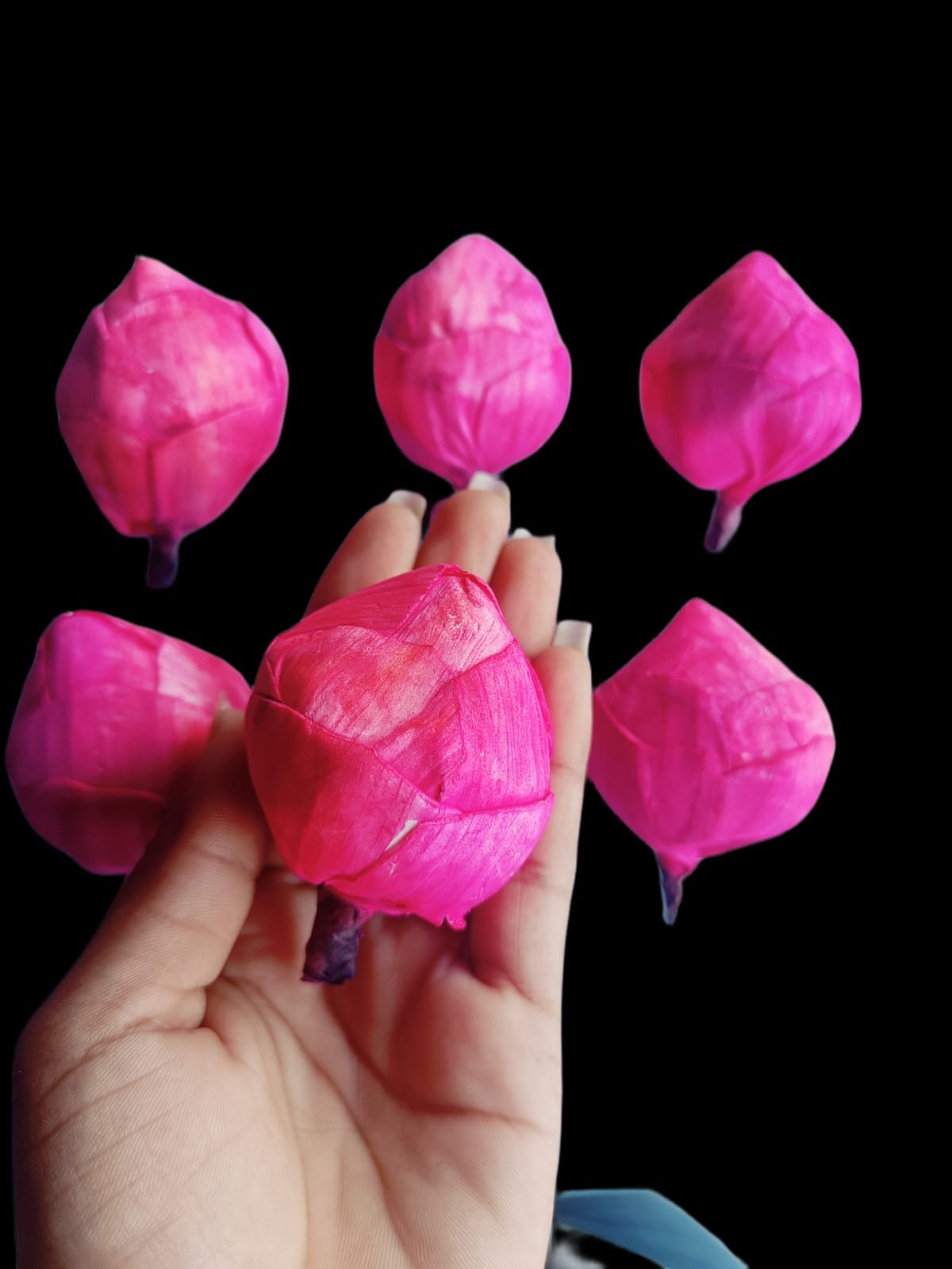 Lotus Buds (Pink) - 10pcs