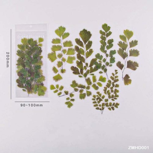 Dried Flower Sticker set- D01