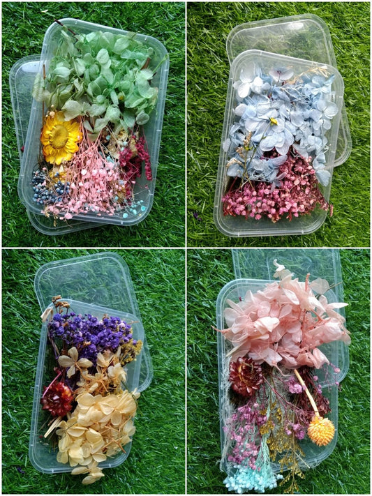 Dried Flowers - Combo 4 boxes-Free Shipping