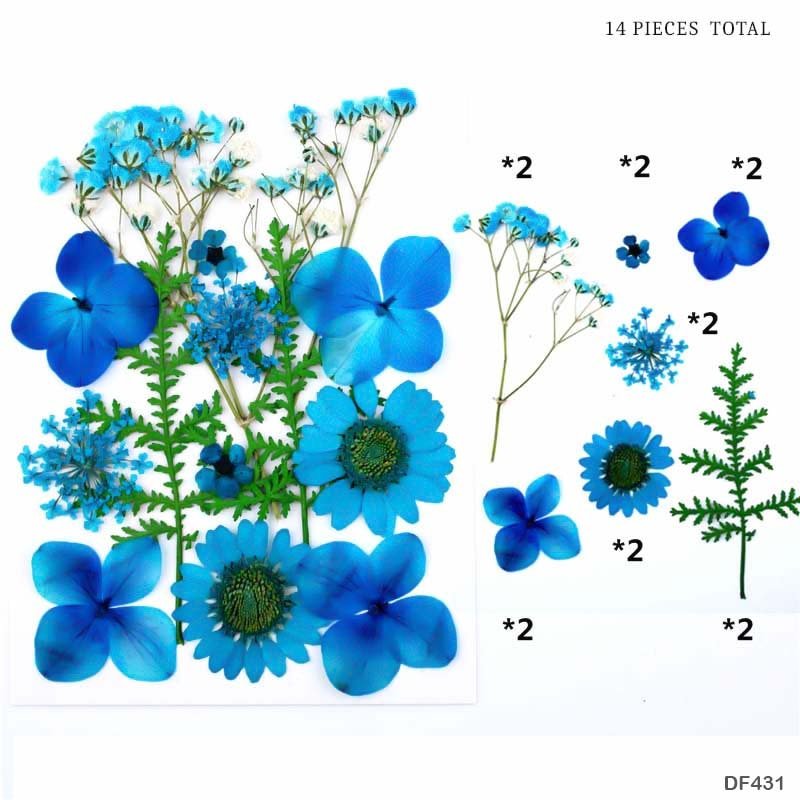 Dried Flower - DF43-11