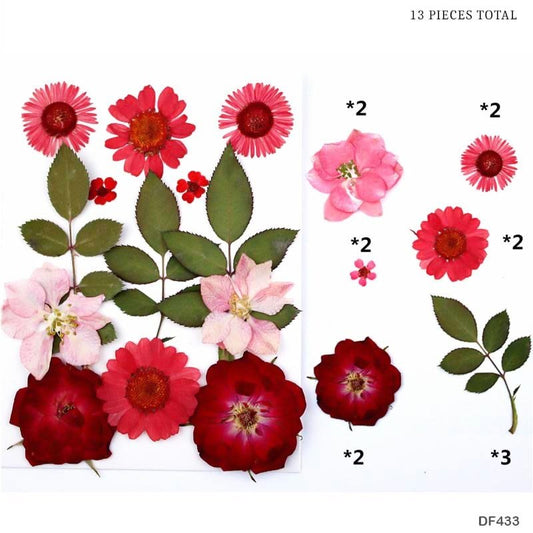 Dried Flower - DF433