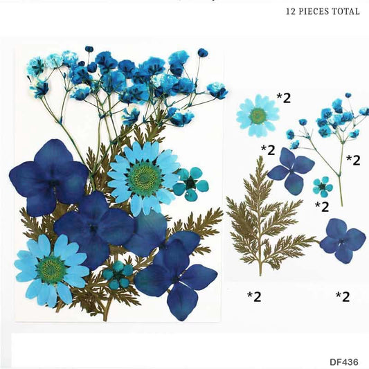 Dried Flower - DF43-6
